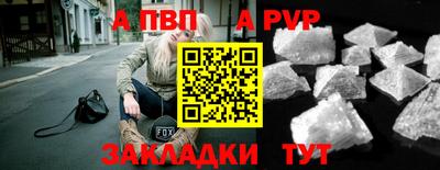a pvp Новозыбков