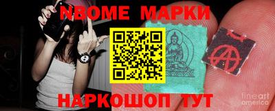 a pvp Новозыбков