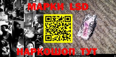 a pvp Новозыбков