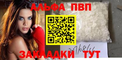 a pvp Новозыбков