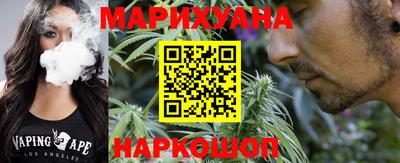 a pvp Новозыбков