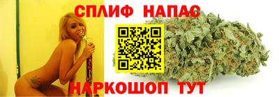 стафф Нальчик