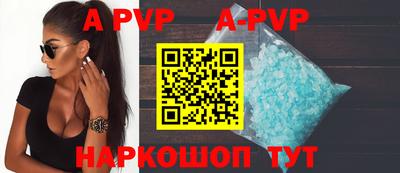 a pvp Новозыбков