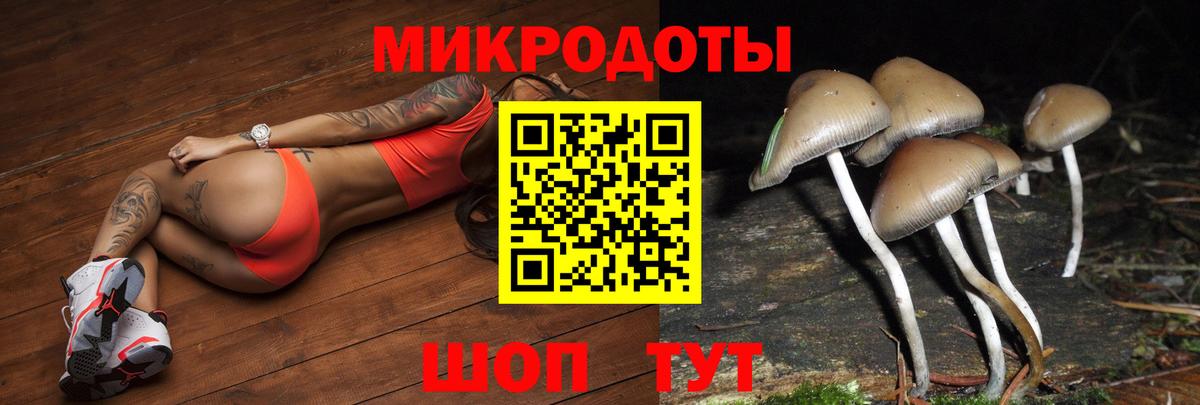 Псилоцибиновые грибы GOLDEN TEACHER  Вход с VPN  Псилоцибиновые грибы Psilocybe  где найти наркотики  Сосновый Бор 